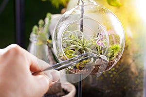 A terrarium bottle