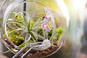 A terrarium bottle photo