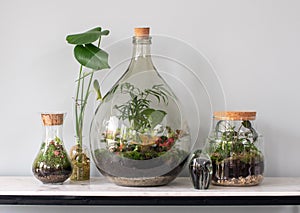 Terrarium ecosystems