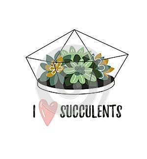 Terrarium with home plants in scandinavian style with lettering - `I love succulents`. Vector illustration with tropical flowers.