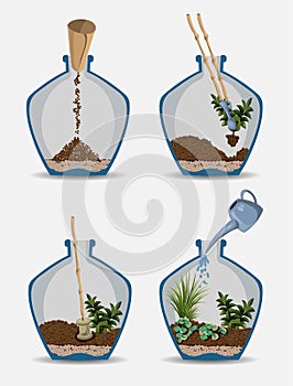 Terrarium Nature green plant in glass garden, plant on decoration natural botany vector cartoon illustration isolated on