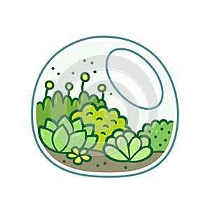 Terrarium with plants