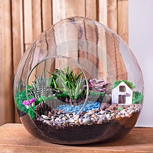 Terrarium, sand, rock, succulent, cactus, decor small house