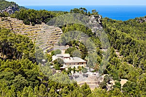 Terrases in Banyalbufar in Majorca