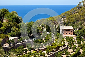 Terrases in Banyalbufar in Mallorca