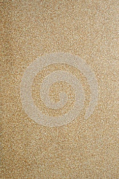 Terrazzo floor