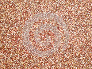 Terrazzo floor