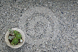 Terrazzo grey backgound.