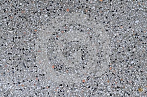 Terrazzo polished stone floor