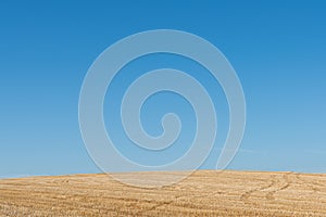 Terreno agricolo contro il cielo azzurro chiaro photo