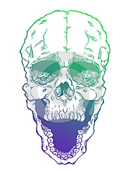 Terrible frightening skull. Creepy illlustration