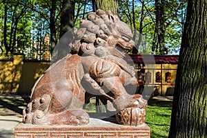 terrible lion in the temple of Buddha, temple of the Buddhists and its Central courtyard. the concept of peaceful religion