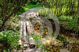 A terrible road in the woodland through a swampy site