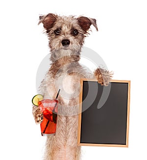 Terrier Holding Drink and Sign
