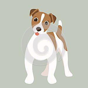 Terrier Jack Russell puppy,vector illustration,flat style, photo