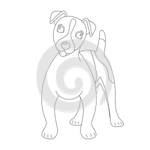 Terrier Jack Russell puppy,vector illustration, lining draw photo