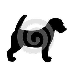 Terrier Jack Russell puppy,vector illustration, silhouette photo