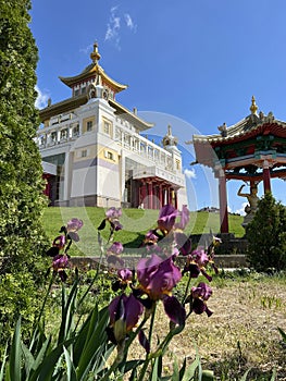 The territory of the Buddhist temple Golden abode of Buddha Shakyamuni. Elista, Republic of Kalmykia, Russia