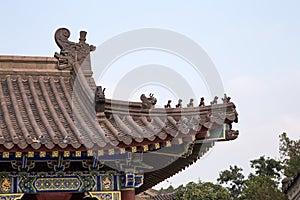 On the territory Giant Wild Goose Pagoda or Big Wild Goose Pagoda, Xian