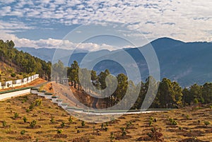 Territory of women Buddhist Monastery in Bhutan, Punakha valley on the background