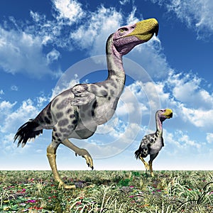 Terror Bird Kelenken