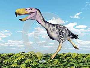 Terror Bird Kelenken