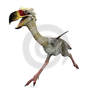 Terror Bird Phorusrhacos