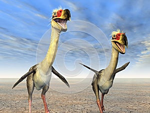 Terror Bird Phorusrhacos