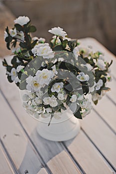 Terry bouquet of Jasmine or mock orange 1763.