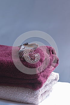 Terry towels and shells. Spa concept. Toned photo