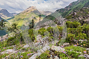 Terskey Ala-Too mountain range in Kyrgyzst photo