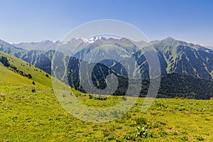 Terskey Alatau mountain range in Kyrgyzst photo