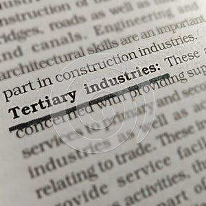 tertiary industries bussiness related terminology displayed on book page