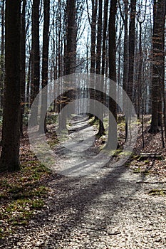 Tervuren Park Belgium - Moody Gravel walkway road - Portra 400