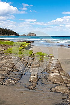 Tessellated Pavement