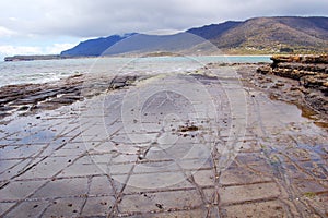 Tessellated pavement photo