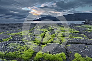 Tessellated Pavement at Port Arthur in Tasmania photo