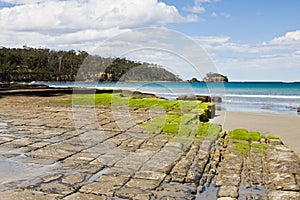 Tessellated pavement, Tasmania photo