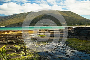 Tessellated pavement in Tasmania in Australia photo