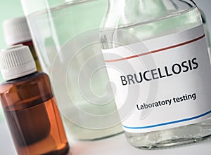 Test brucellosis in laboratory, conceptual image