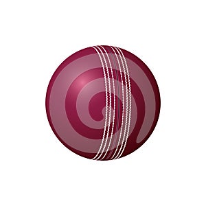 Test cricket leather ball, realistic vector