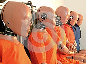 Test dummies