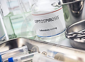 Test leptospirosis in laboratory, conceptual image