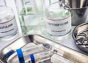 Test leptospirosis in laboratory, conceptual image