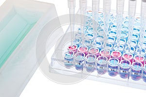 test sample research test lab elisa