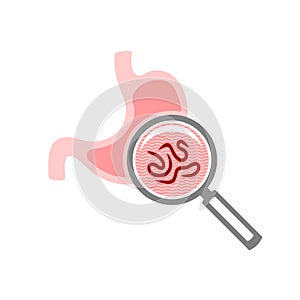 Test for stomach parasites symbol. Magnify glass.