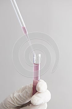 Test-tube in bio lab