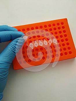 test tube, PCR test tubes
