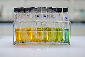 Test tube rack at laboratory