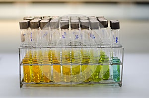 Test tube rack at laboratory